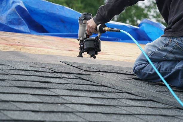 Best Roof Gutter Cleaning  in Mogadore, OH